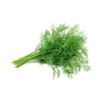 Dill