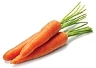 Carrot