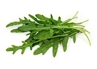 Arugula